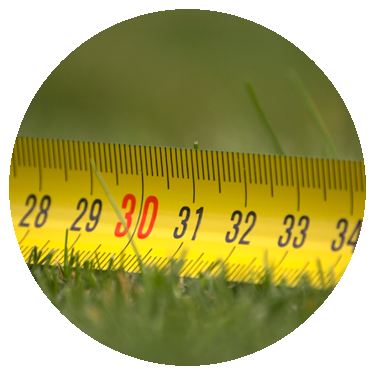 Measuring Sod