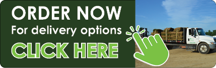 Ameri-Tur Order Now Button