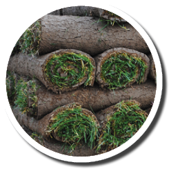 Pallet of Sod
