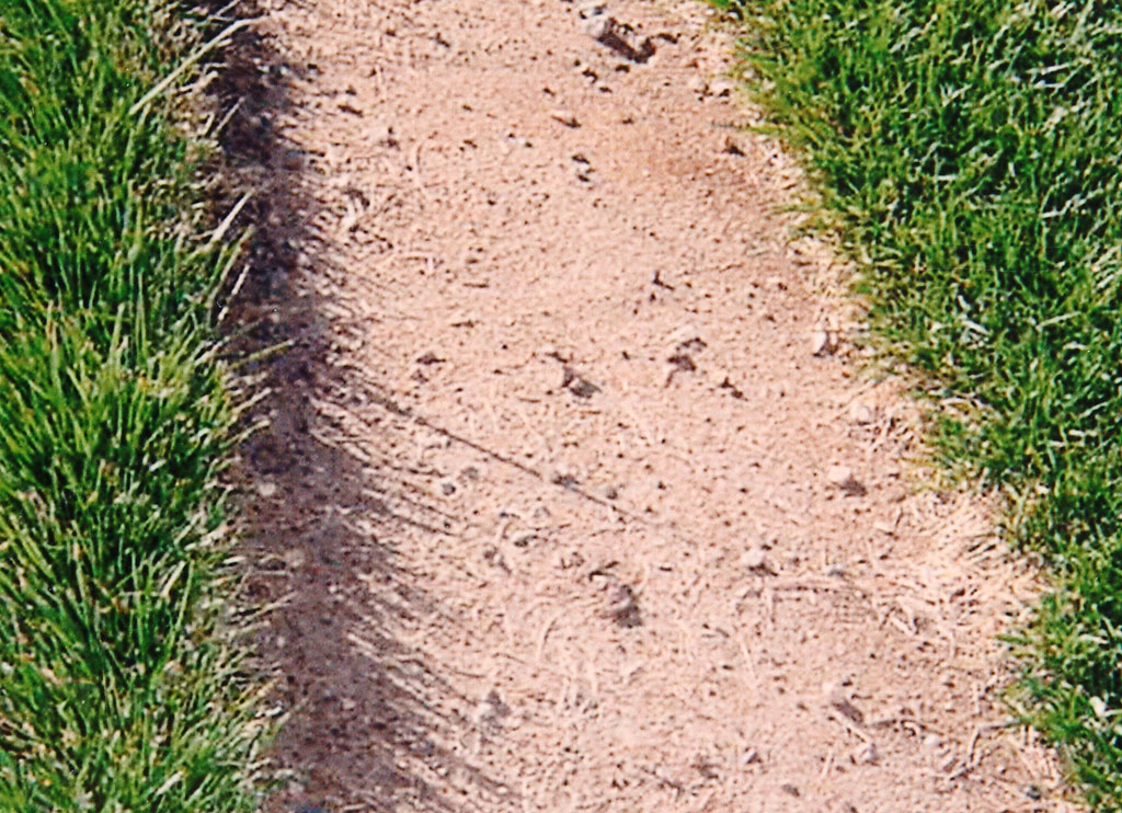 Cutting Sod