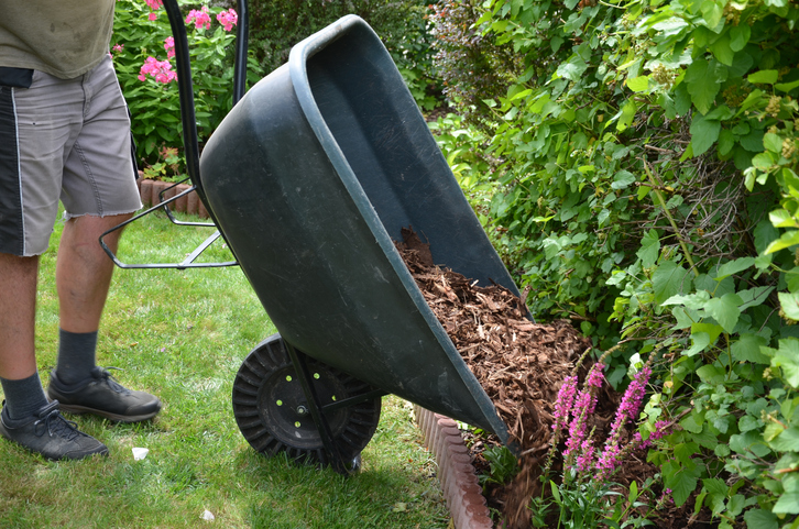 Mulching Landscape