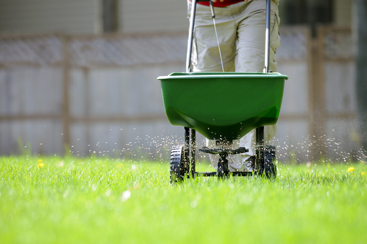 Applying Lawn Fertilizer