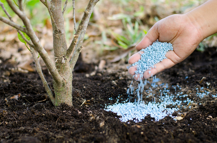 Installing fertilizer