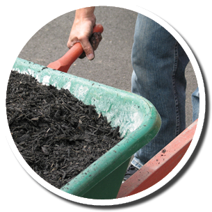 Wheel barrow of mulch