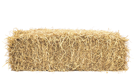 Straw Bale